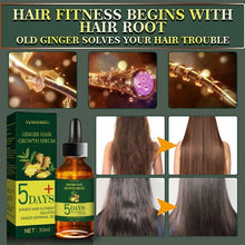 Load image into Gallery viewer, 7 Day Ginger Germinal Serum Essence Oil 30ml